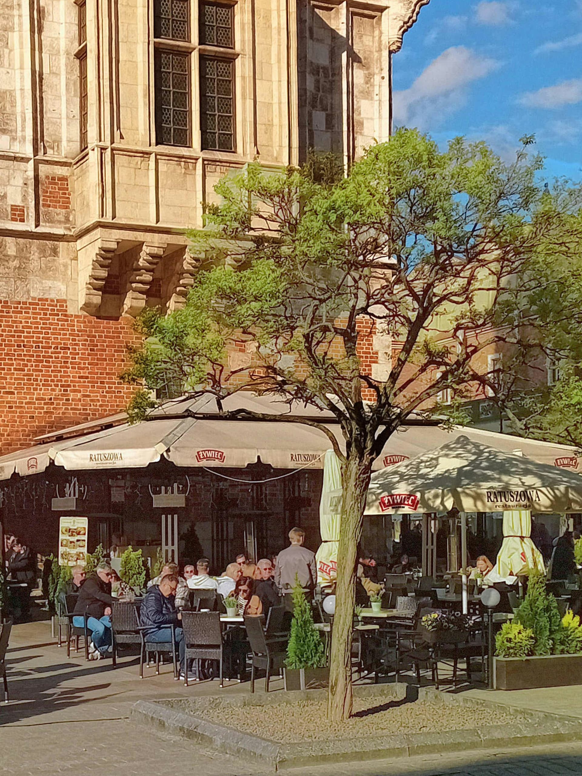 Krakow Old Town square